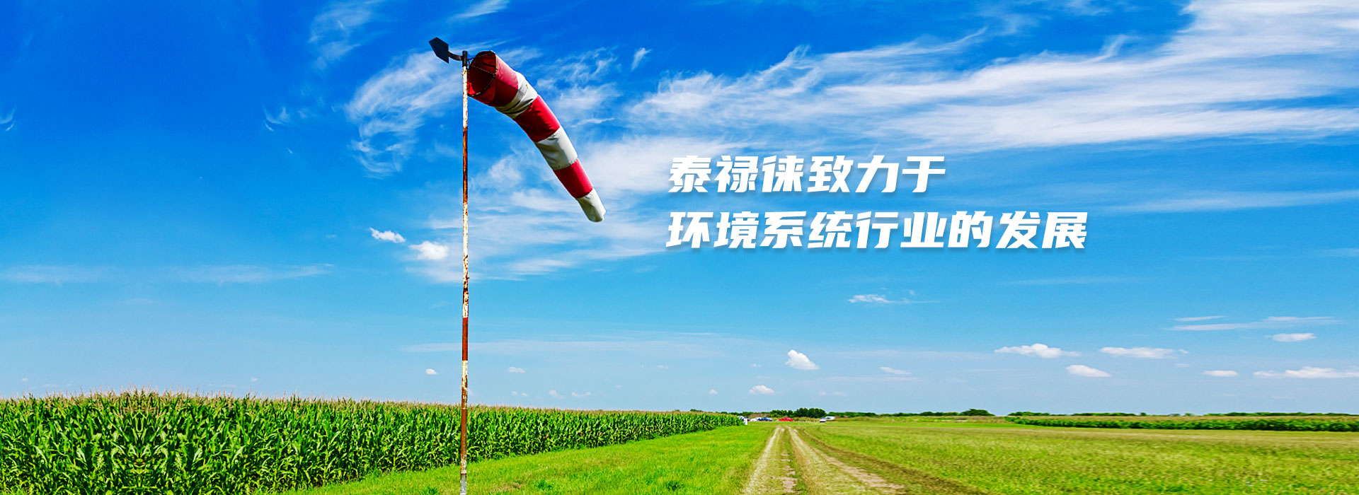  武汉泰禄徕环境系统有限公司